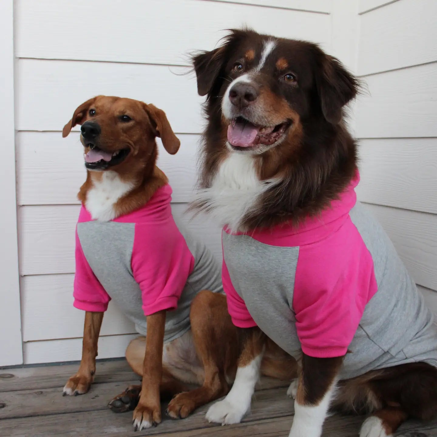 Color Block Dog Hoodie - Pink on Gray