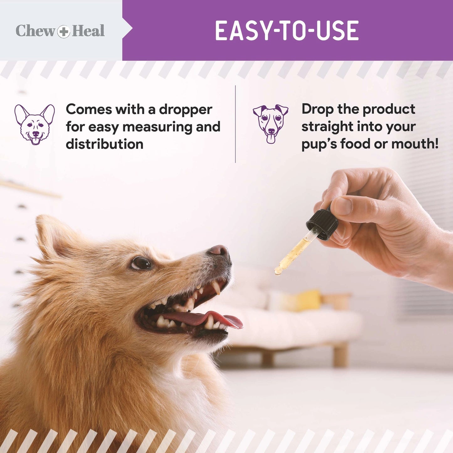 Milk Thistle Tincture with Moringa & Salmon Oil For Dogs