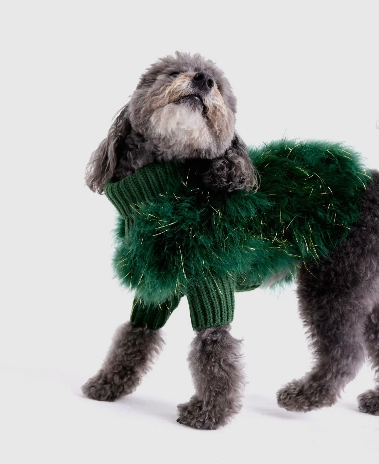 Holiday Glitz Fluffy Feather Pet Sweater - Christian Cowan x Maxbone