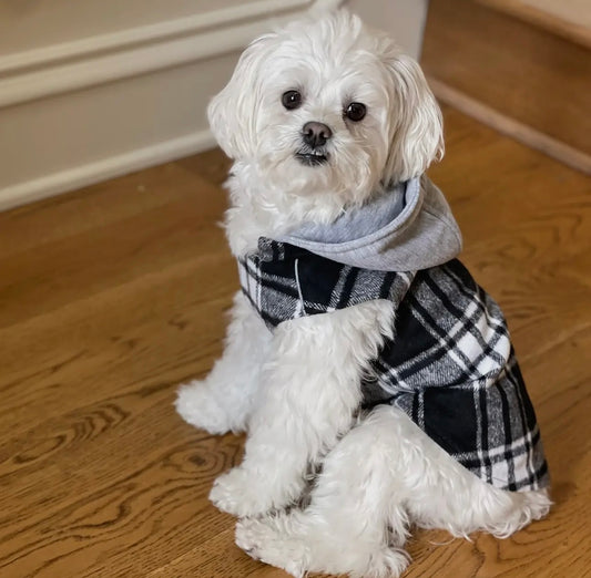 Weekender Black and White Plaid Flannel Hoodie Dog Sweatshirt