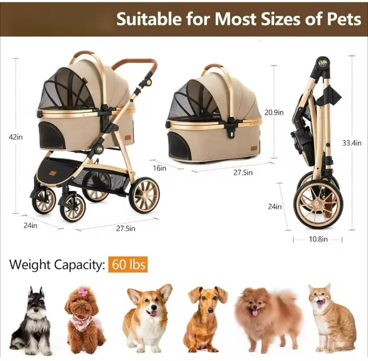 3 in 1 Medium Size Dog or Cat Stroller with Gold Trim