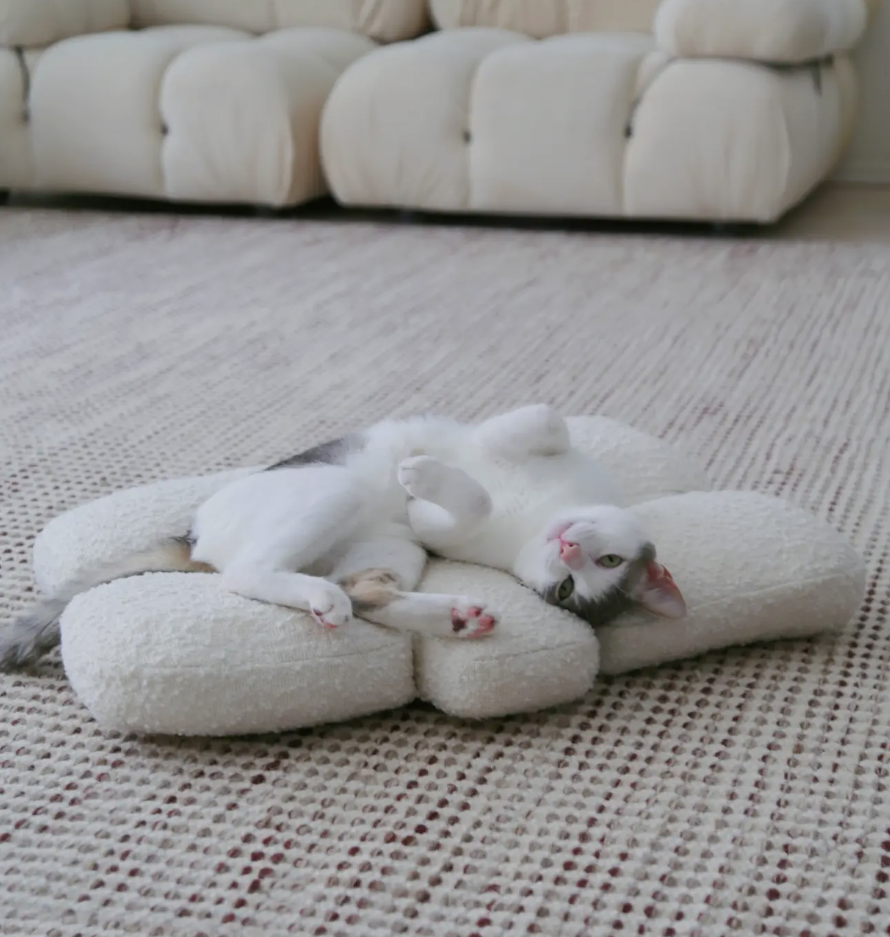 Boucle Pebble Pet Bed