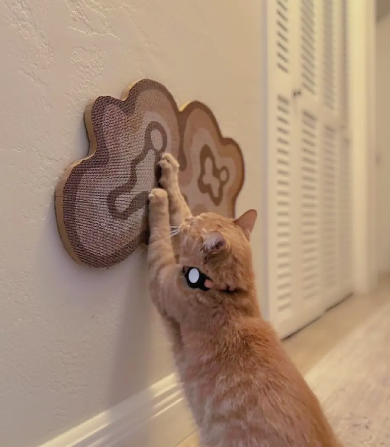 Bloom Cat Scratcher - Set of 3