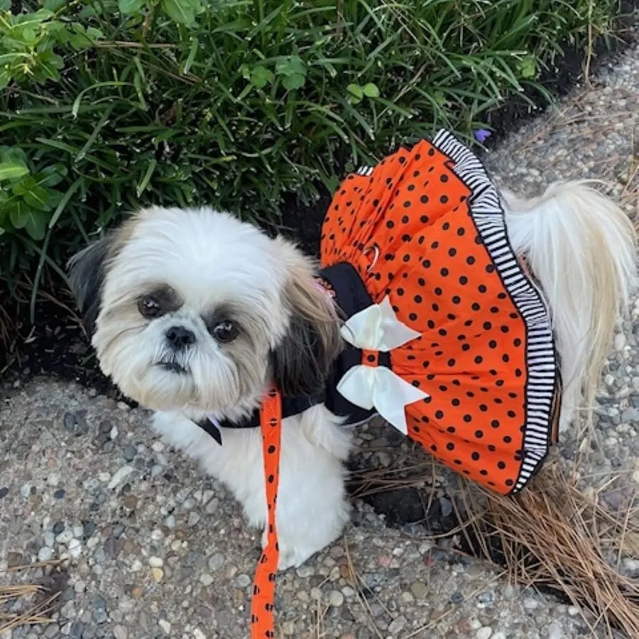 Halloween Dog Harness Dress - Fab-Boo-Lous