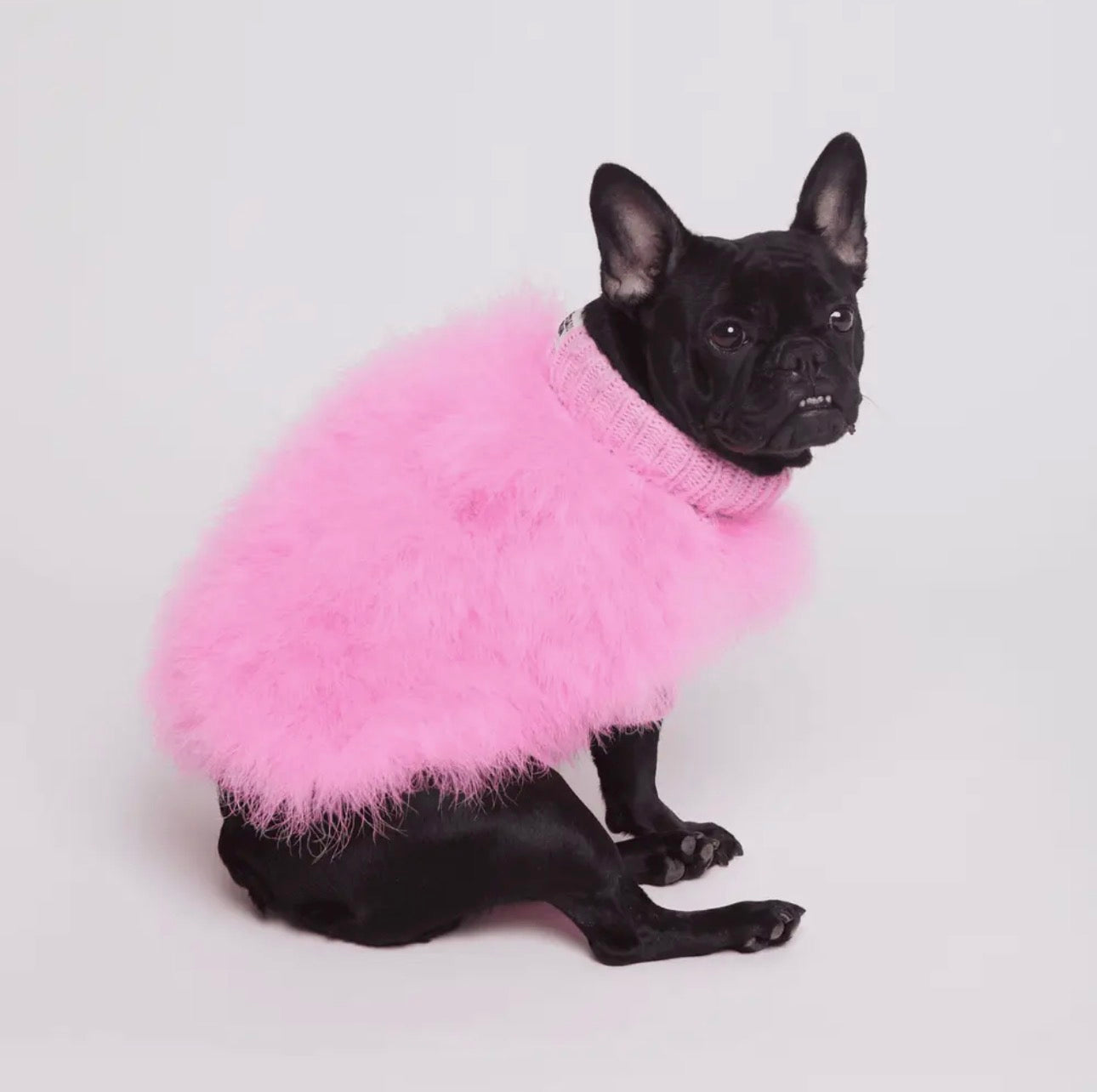 Fluffy Feather Pet Sweater - Christian Cowan x Maxbone
