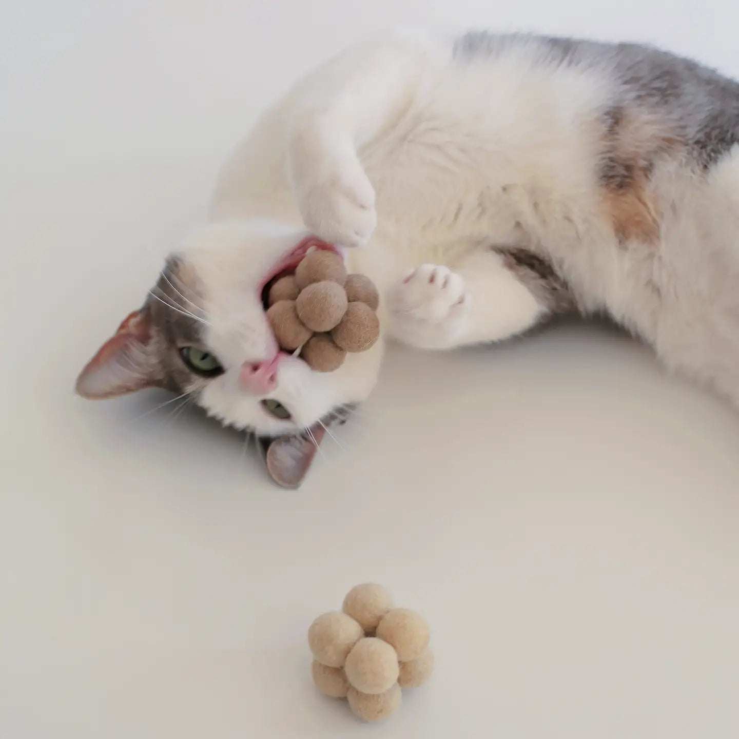 Pearl Pet Toys - Enrichment Catnip Toys (Set of 3)