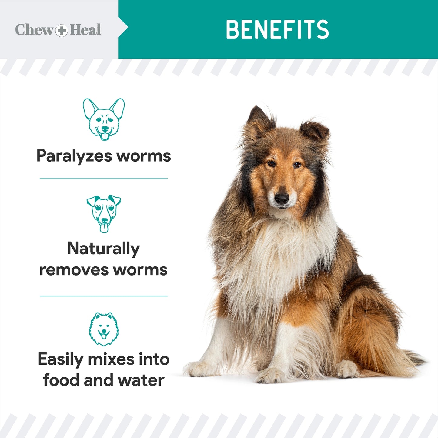 Stop the Worms Dewormer Liquid For Dogs and Cats