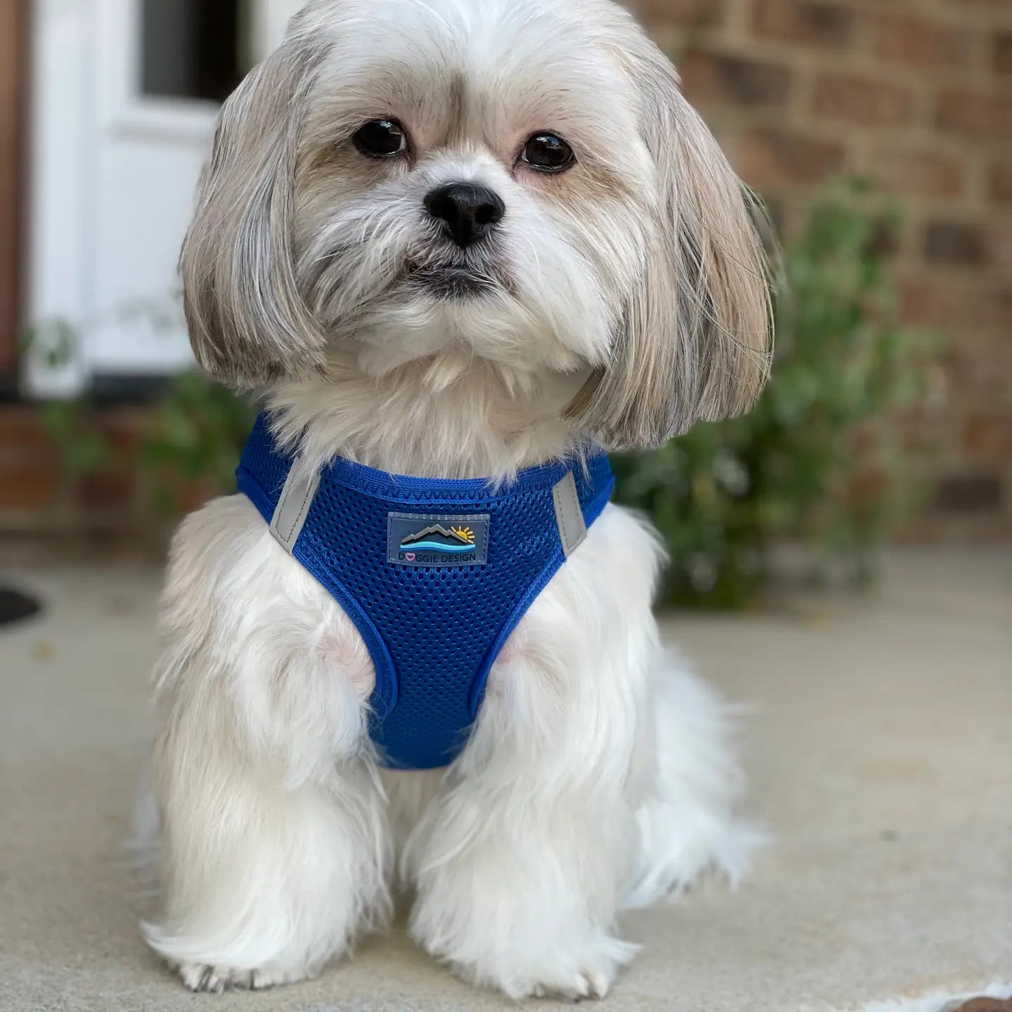 American River Blue Camo Dog Step In Harness