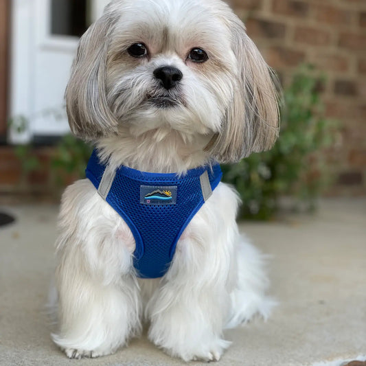 American River Blue Camo Dog Step In Harness
