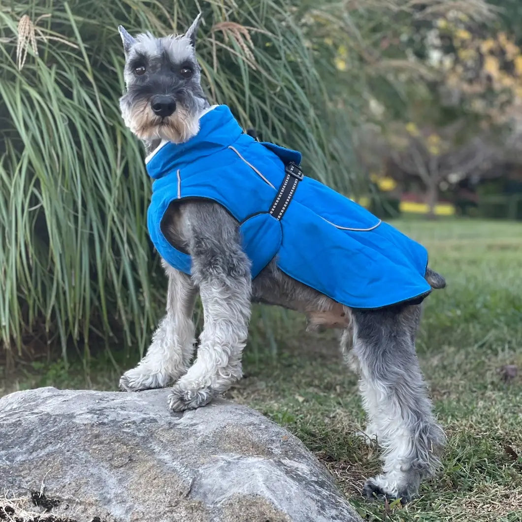 Alpine Tuf Terrain Dog Coat