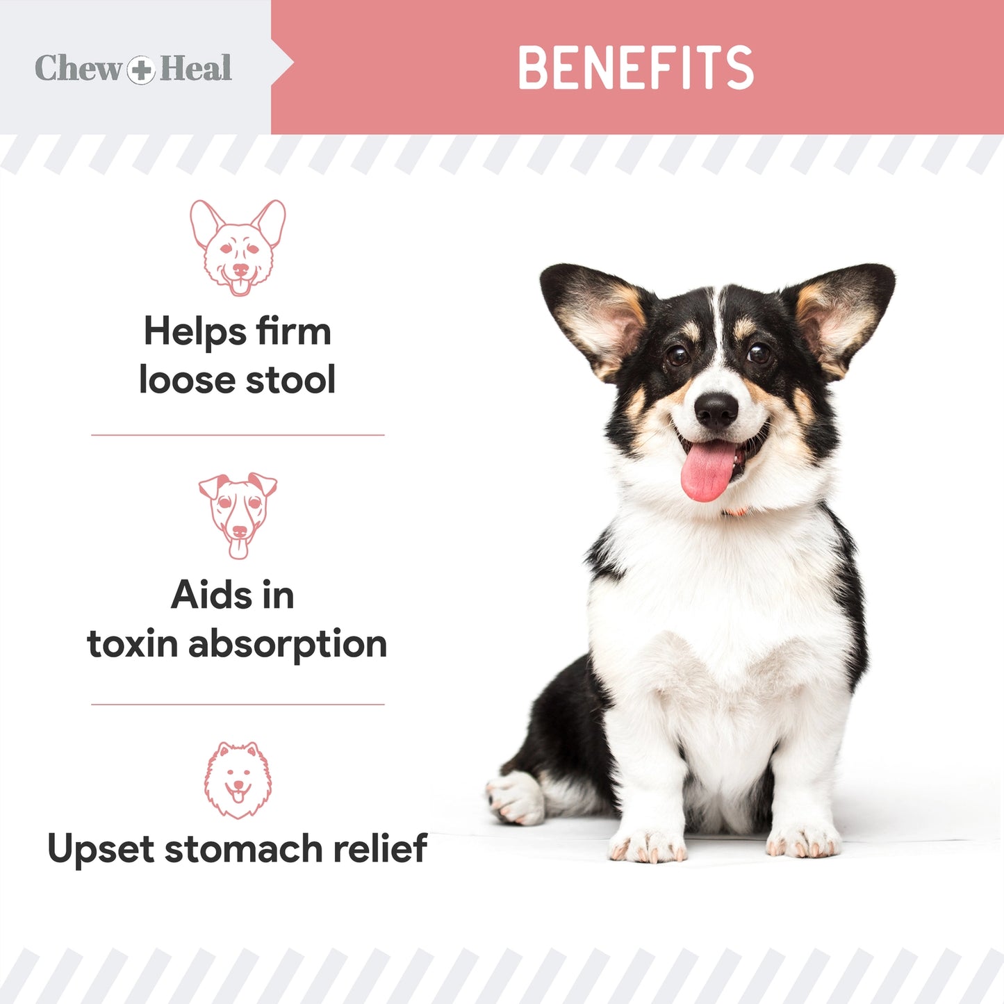 Stop the Diarrhea Anti Diarrhea For Dogs