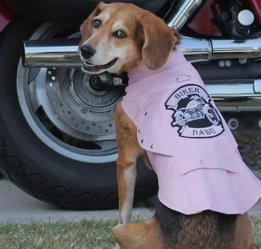 Biker Dawg Motorcycle Dog Jacket