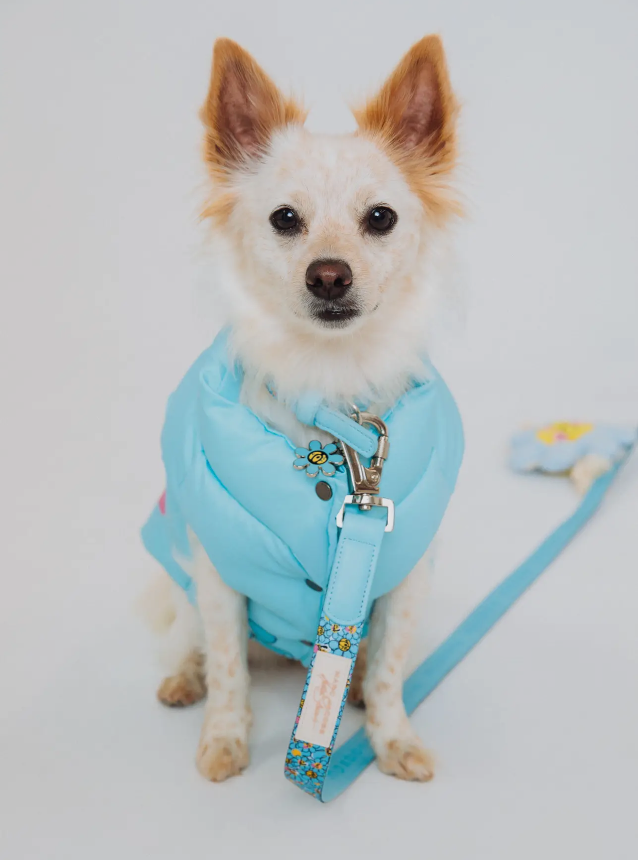 Marc Jacobs x Hattie Stewart Blue Butterfly Flower Design Puffer Dog Vest