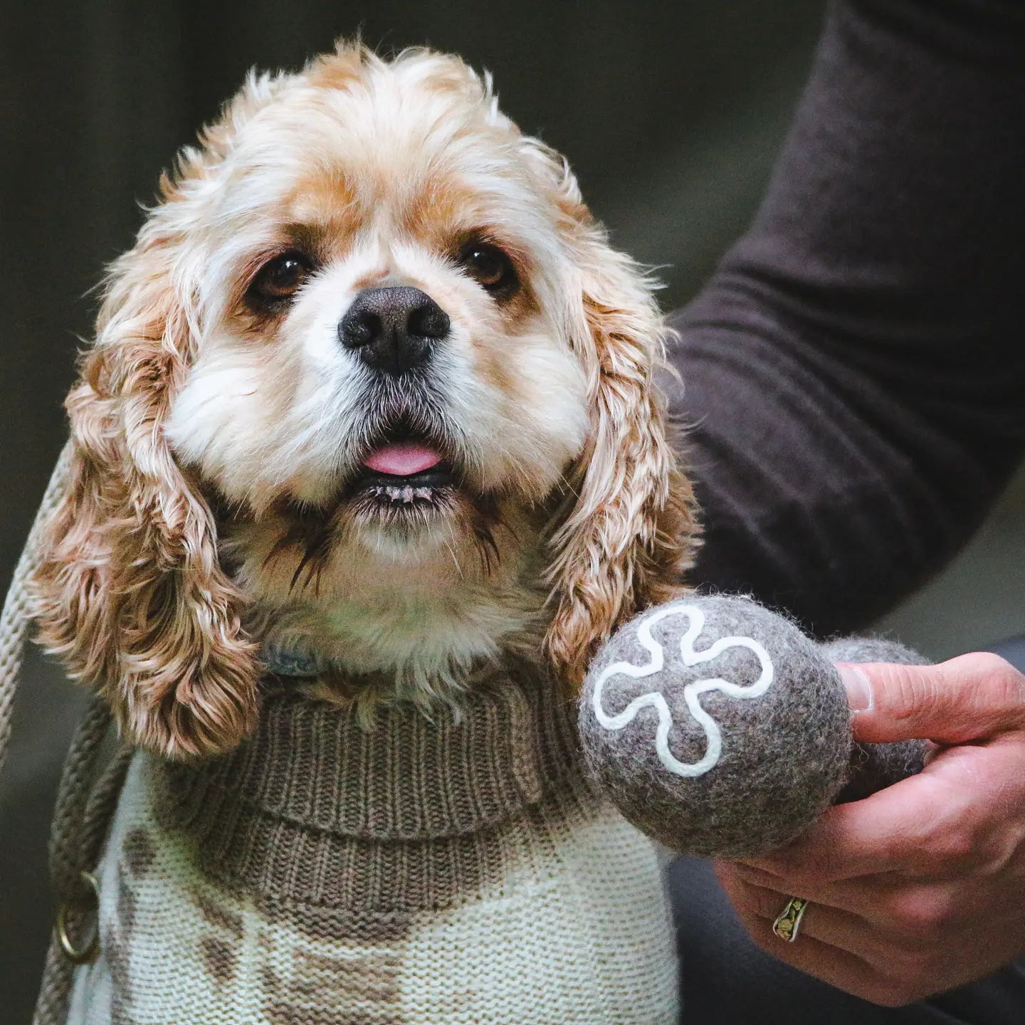 Natural Wool Dumbbell Dog Toy