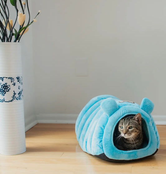 Fun Blue Worm Sleeping Tunnel Cat Dog Bed