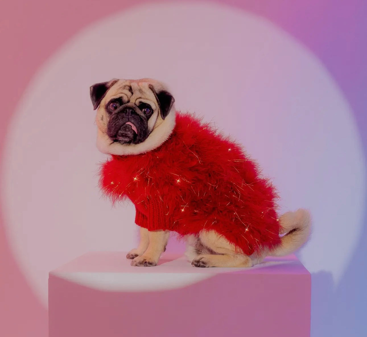 Holiday Glitz Fluffy Feather Pet Sweater - Christian Cowan x Maxbone