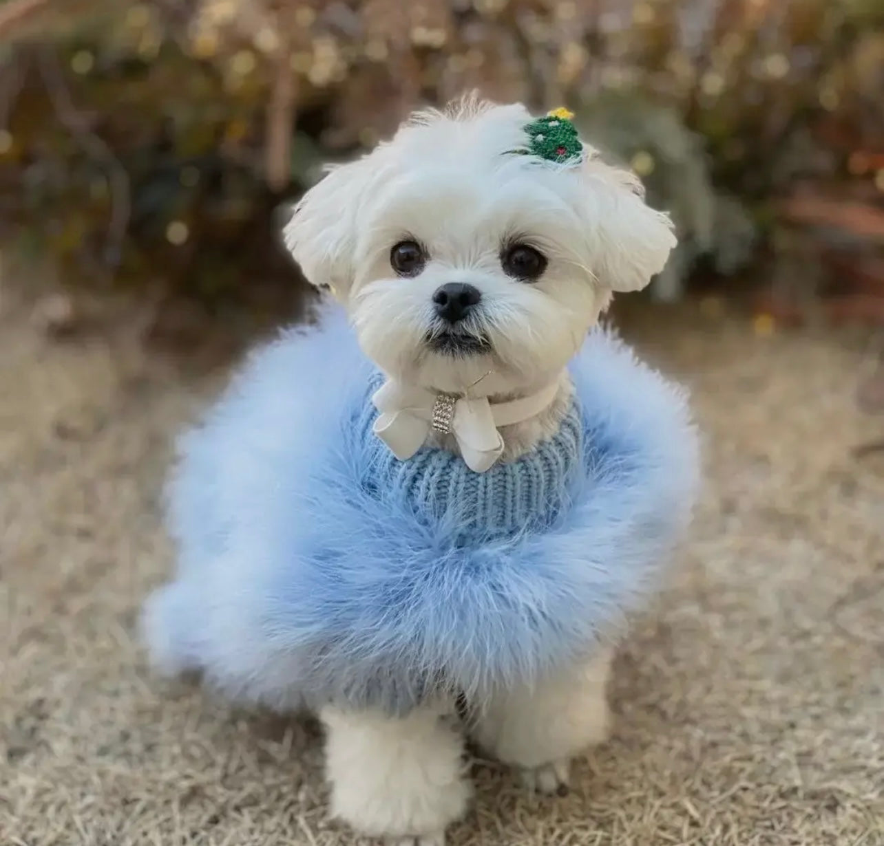 Haute Couture Luxury Feather Pet Sweater