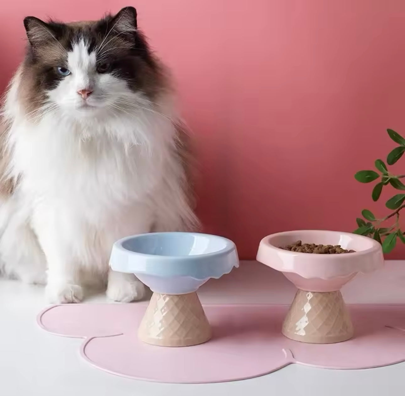 Ice Cream Cone Ceramic Elevated Cat Food Dish