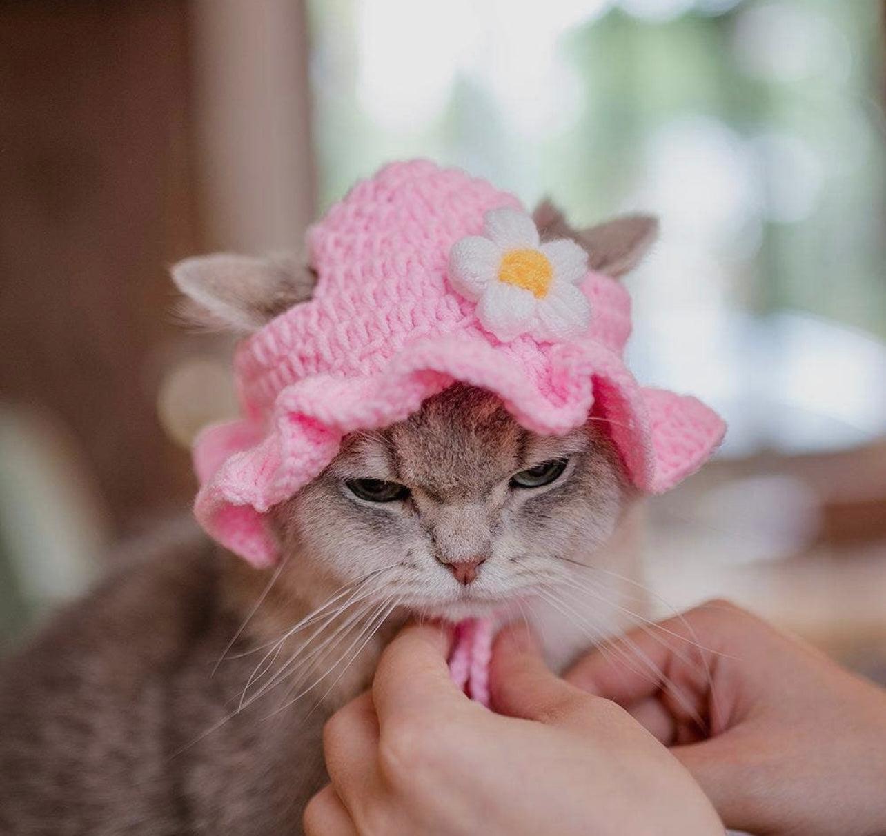 Knitted Hat for Cats and Small Dogs