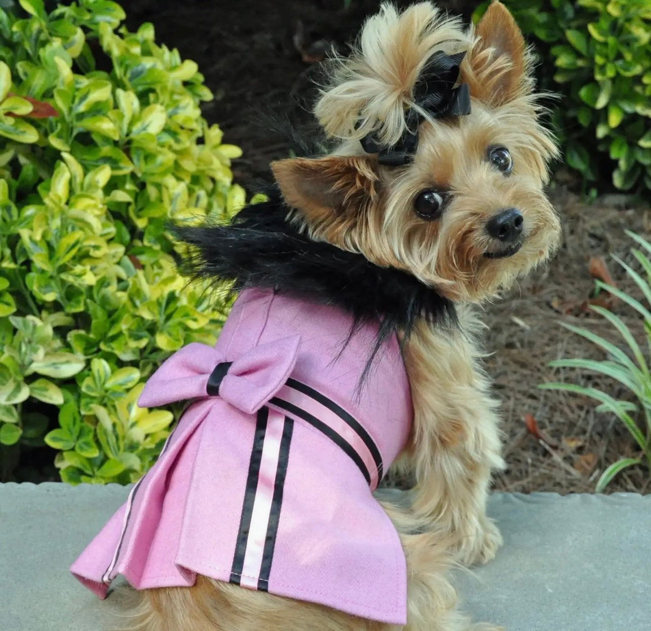 Pink Wool Fur Trimmed Dog Harness Coat