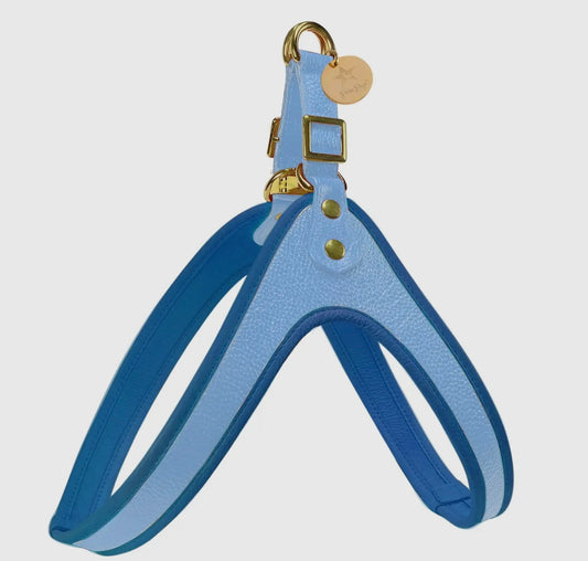 Ocean Vibes Step In Harness