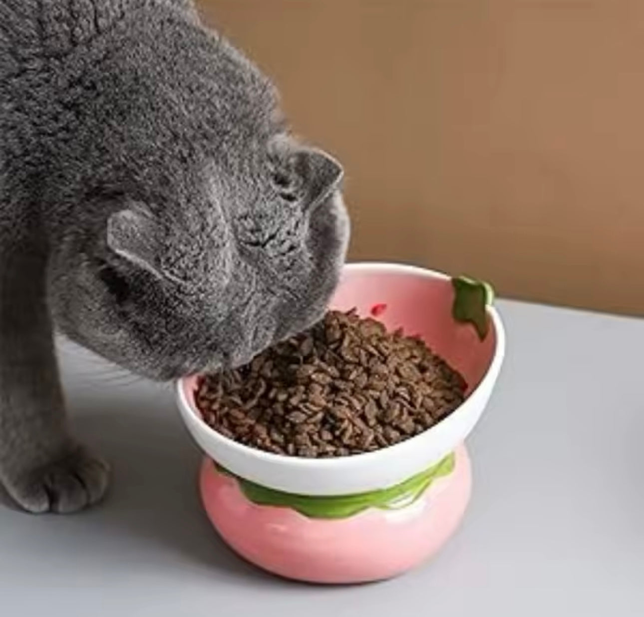 Strawberry Elevated Ceramic Cat Food Bowl