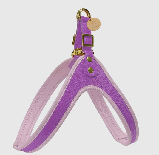 Lavish Lavender Step In Harness