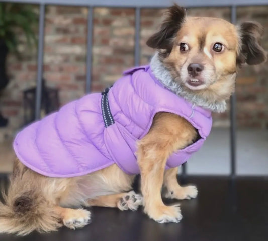 Alpine Extreme Weather Puffer Coat