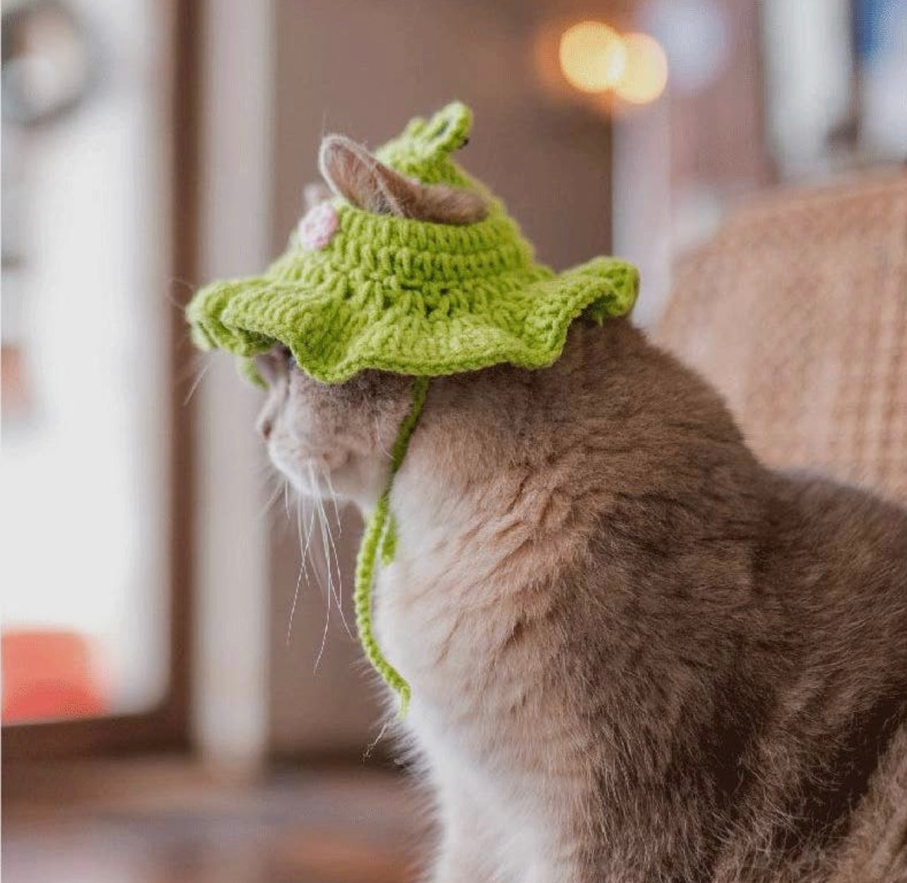 Knitted Hat for Cats and Small Dogs