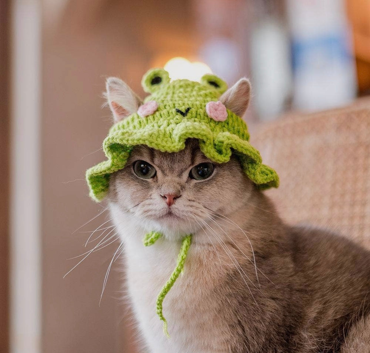 Knitted Hat for Cats and Small Dogs