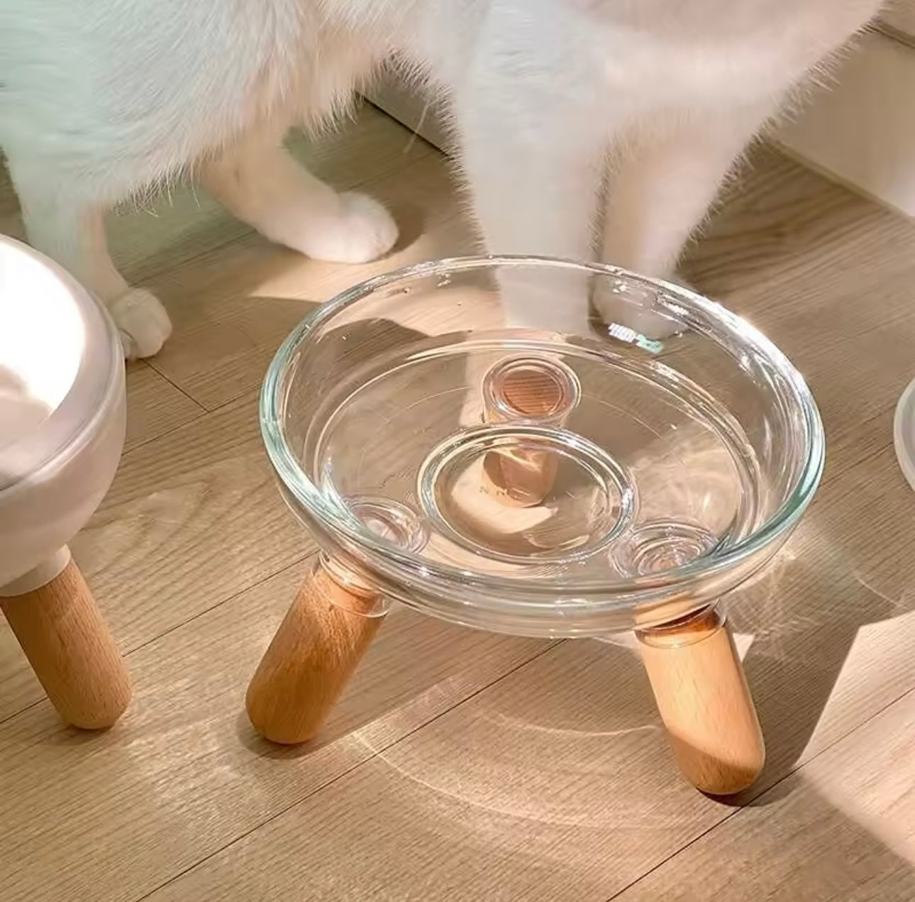 Glass Elevated Wooden Leg Cat Food and Water Bowl