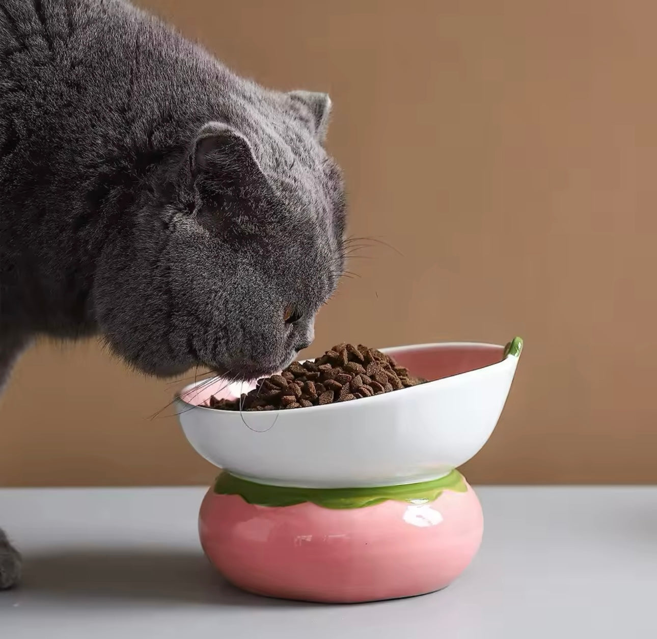 Strawberry Elevated Ceramic Cat Food Bowl