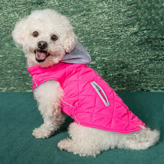 Weekender Quilted Hoodie Dog Sweatshirt