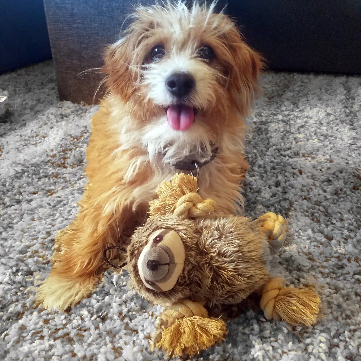 Roper Prairie Sloth Dog Toy