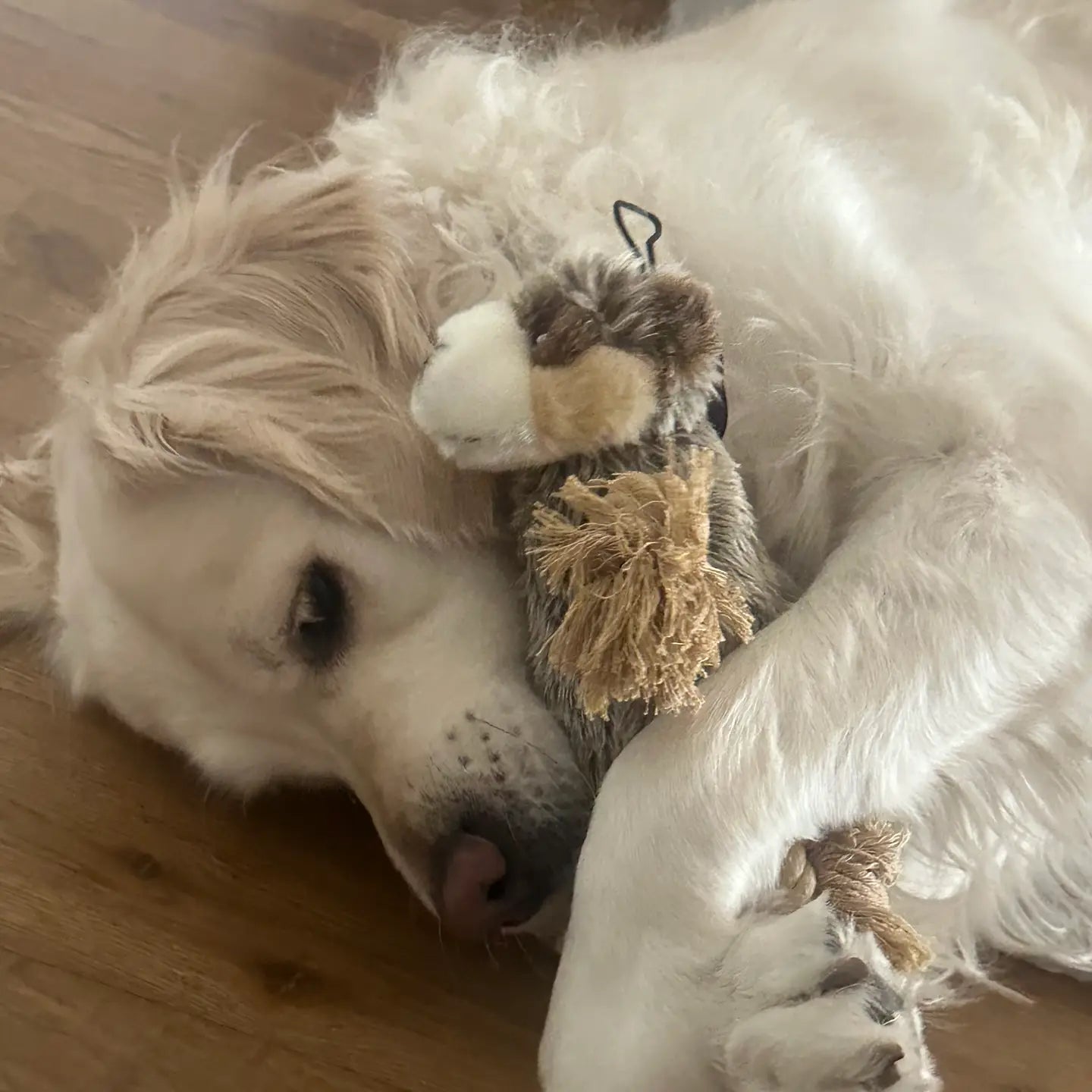 Roper Prairie Gopher Dog Toy
