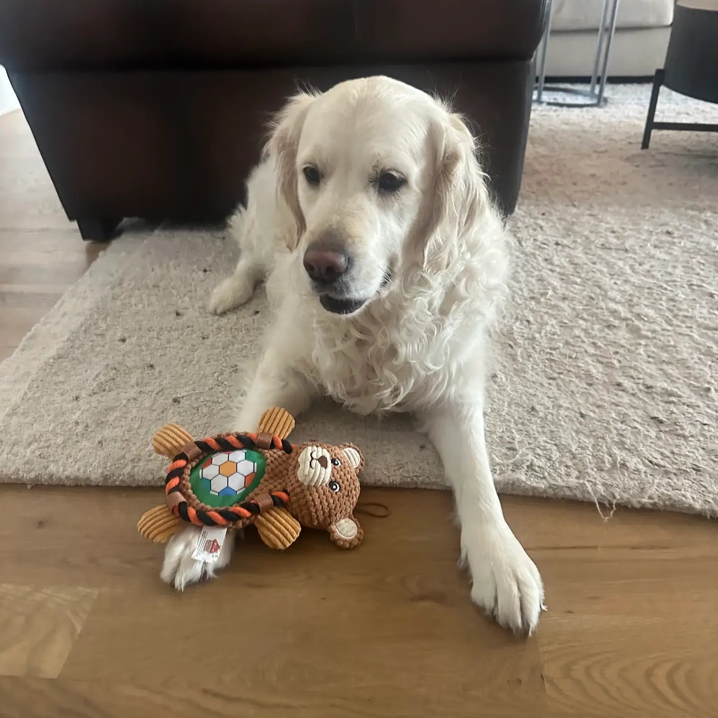 Roper Prairie Sports Bear Dog Toy