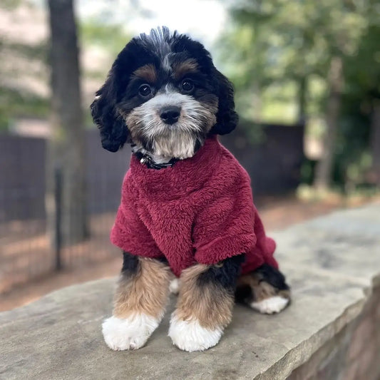 Burgundy Soft Plush Dog Pullover