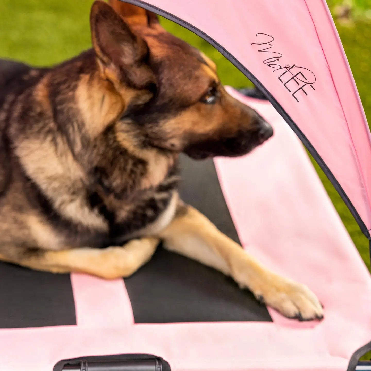 Midlee Pink Dog Cot with Canopy