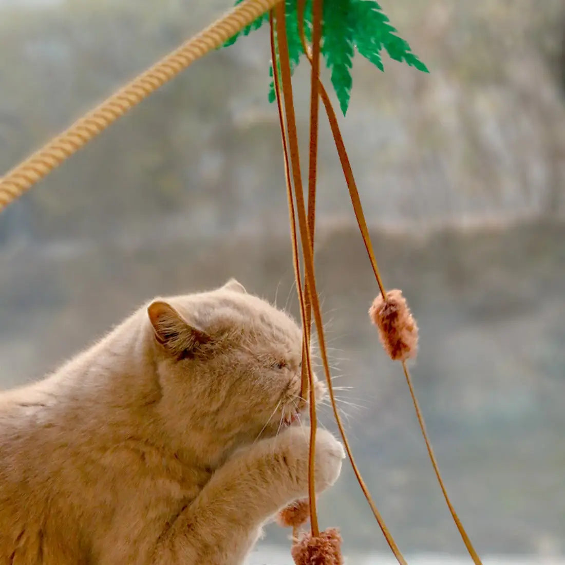 Coconut Tree Cat Teaser Wand