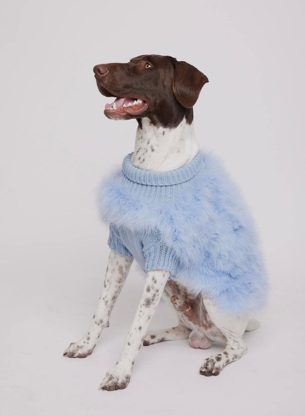 Fluffy Feather Pet Sweater - Christian Cowan x Maxbone