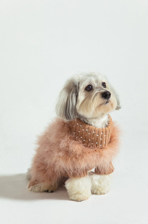 Gemstone Feather Dog Jumper