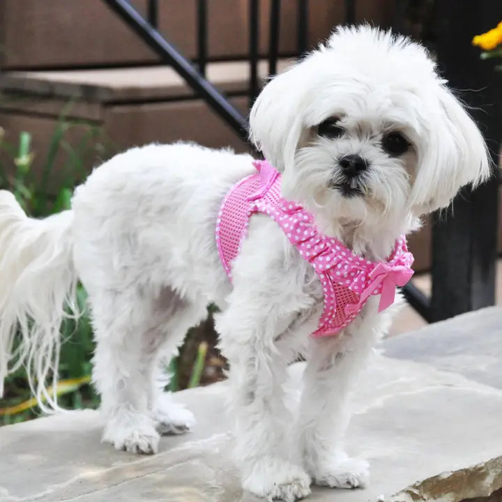 Polka Dot Ruffle Mesh Harness