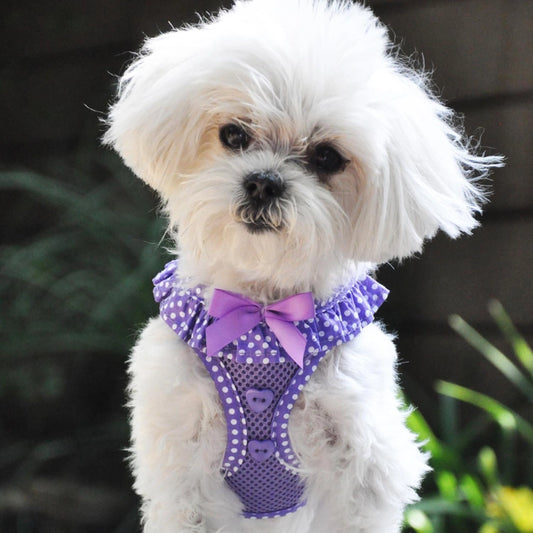 Polka Dot Ruffle Mesh Harness