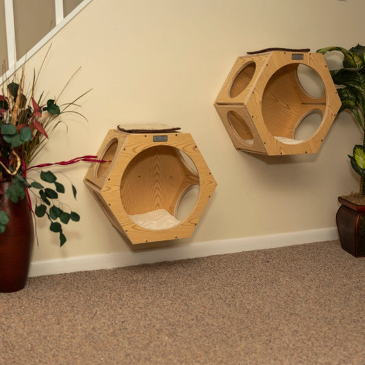 Hexagon Shaped Condo - Set of Two Wall Tree Additions