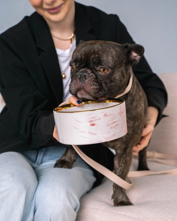 Marble Pattern Ceramic Dog Bowl with Gold Accent