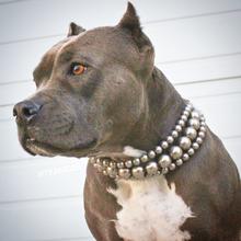 "The Via" Charcoal ~ Glam Pearl Dog Collar